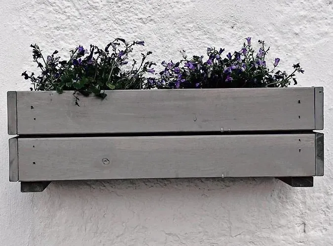 Ferienhaus La Morica Gelsa